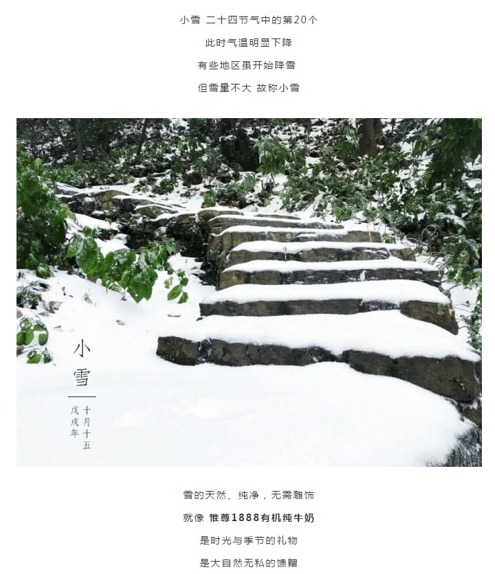 今日小雪 | 喝惟尊1888，把云端有机牧场搬回家！